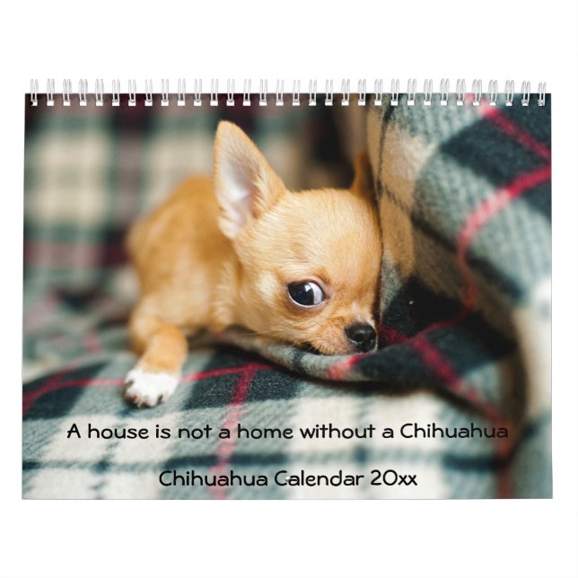 Chihuahua Calendar 2023 Photo House Is Not A Home (Cover)