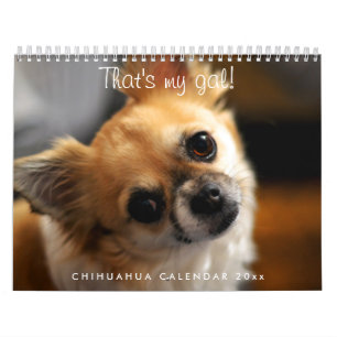 Chihuahua Calendar 2023 That's My Gal
