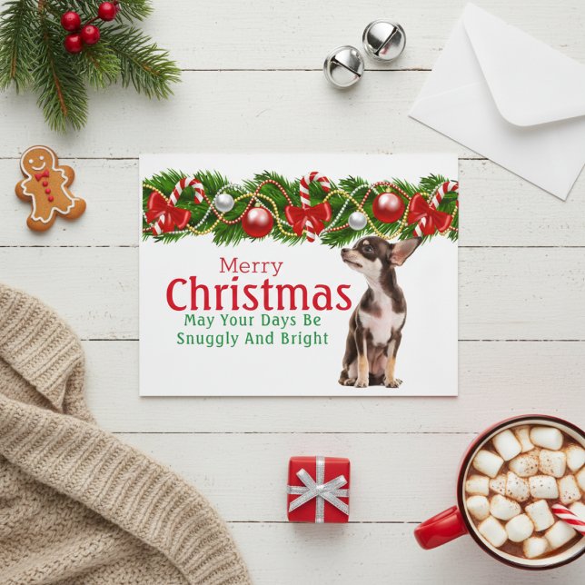 Chihuahua Christmas Card (Chihuahua Christmas Card)