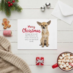 Chihuahua Christmas Card