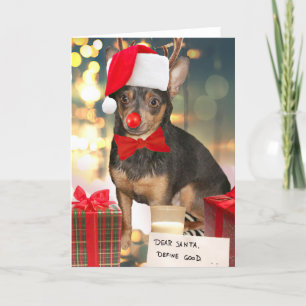Chihuahua Christmas Holiday Card
