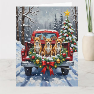 Chihuahua Christmas Red Truck Holiday Card