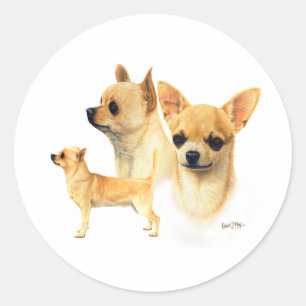 Chihuahua Classic Round Sticker