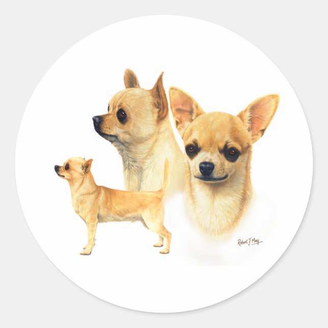 Chihuahua Classic Round Sticker (Front)