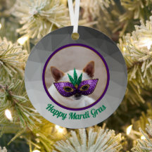 Chihuahua cute Happy Mardi Gras sparkly mask photo