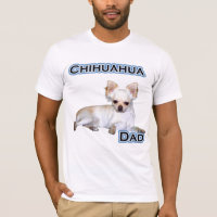 Chihuahua Dad 4