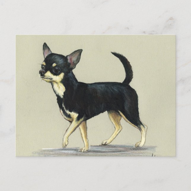 "Chihuahua" Dog Art Postcard (Front)