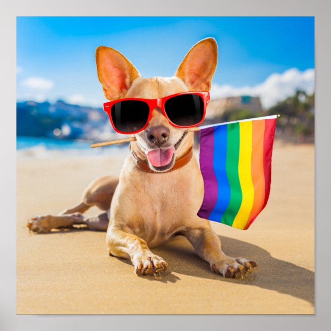 Chihuahua Dog  at the Beach Poster (Front)