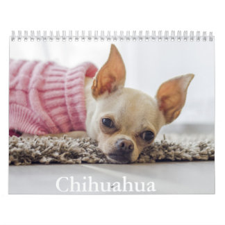 Chihuahua Dog Calendar
