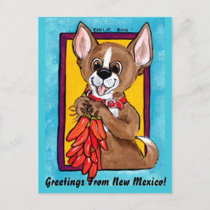 Chihuahua Dog Chilli Peppers New Mexico Postcard