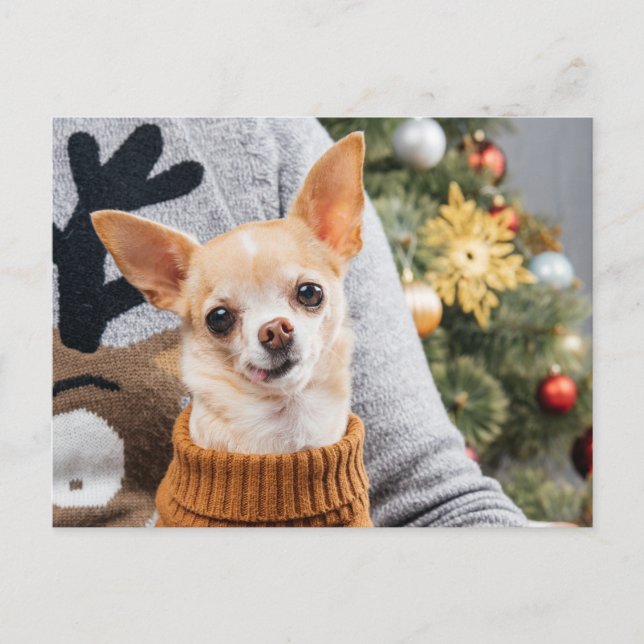 Chihuahua Dog Christmas w/Christmas Tree Post Card (Front)