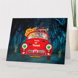 Chihuahua Dog Driving Car Scary Halloween Card
