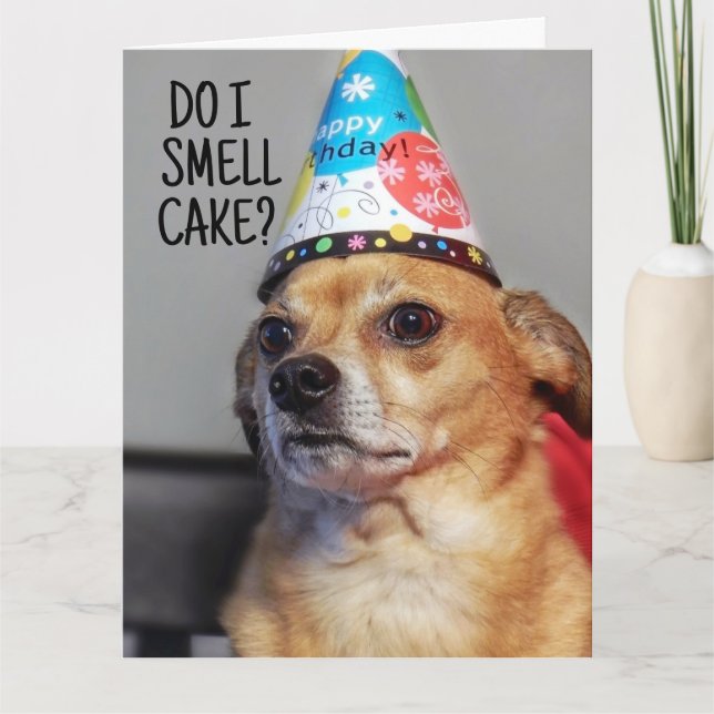 CHIHUAHUA DOG FUNNY BIRTHDAY CARD (Front)