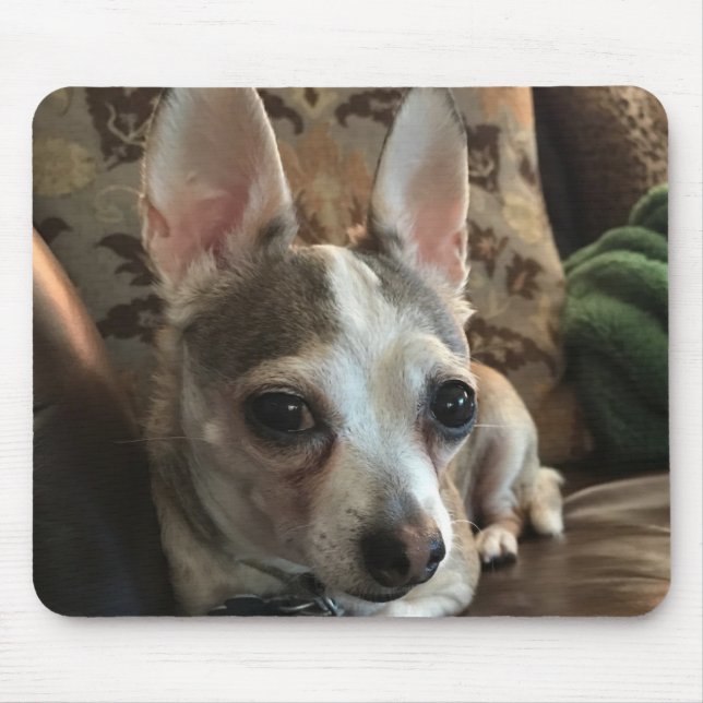 Chihuahua Dog Mousepad (Front)
