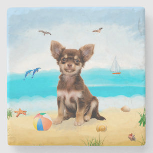 Chihuahua Dog on Beach Stone Coaster