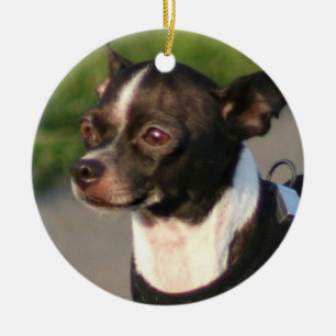 Chihuahua dog ornament