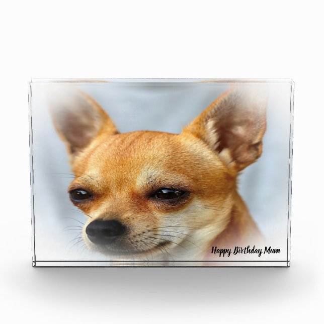 Chihuahua Dog. Photo Block (Front)