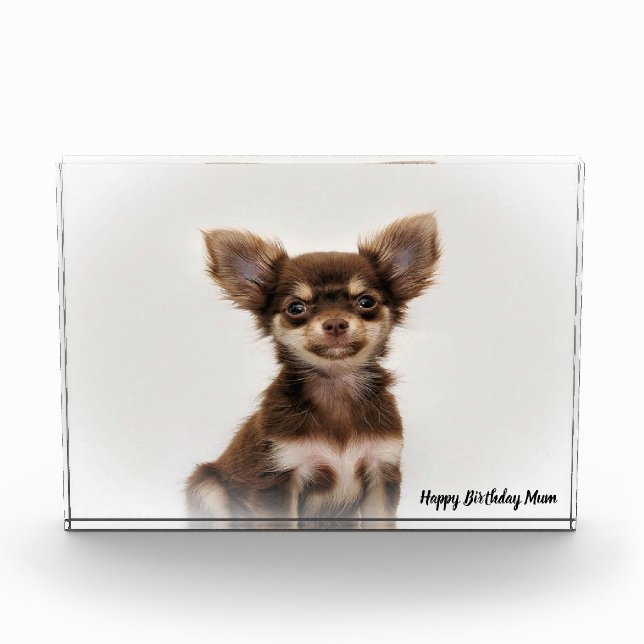 Chihuahua Dog. Photo Block (Front)