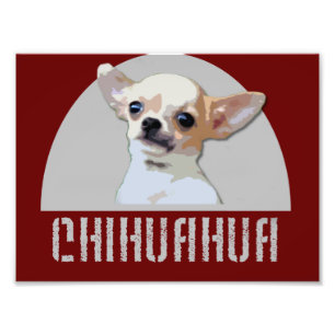 Chihuahua Dog Photo Print