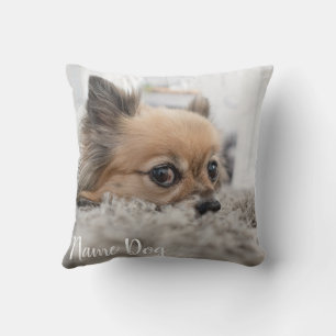 Chihuahua dog pillow printed with cat's name (2 si