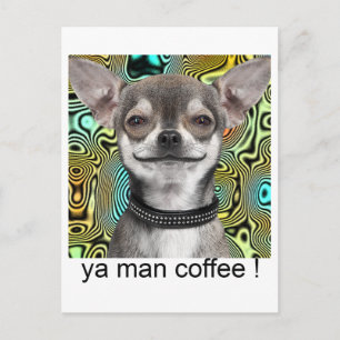 Chihuahua Dog Smiling for Coffee Postcard