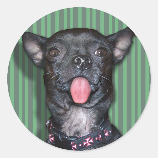 Chihuahua Dog Tongue Classic Round Sticker (Front)