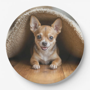 Chihuahua Dog Under a Rug Paper Plate