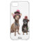 chihuahua dogs in winter hats with pom-poms