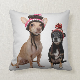 Chihuahua Dogs With Hats Photo Cushion