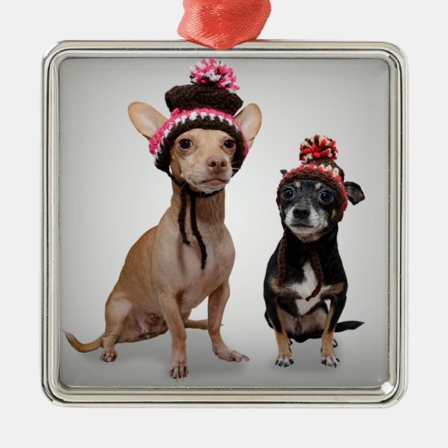 Chihuahua Dogs With Hats Photo Metal Tree Decoration (Front)