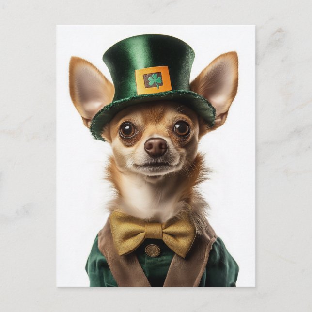 Chihuahua Dressed Leprechaun St. Patrick’s Day Postcard (Front)