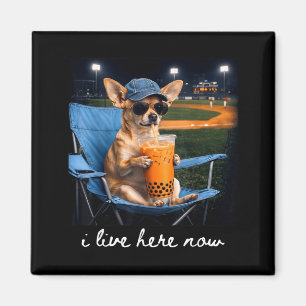 Chihuahua drink iced coffee baseball field live magnet