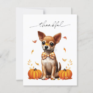 Chihuahua Fall Thankful Thanksgiving Greeting Card