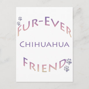 Chihuahua Furever Postcard