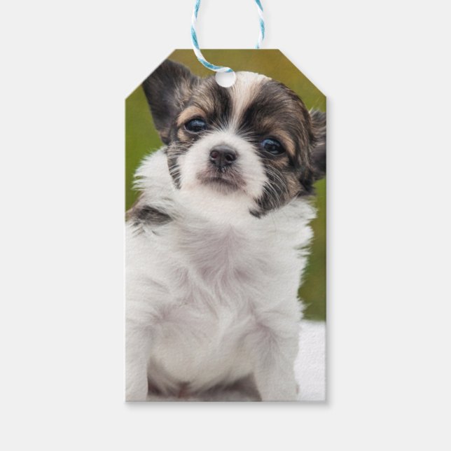 Chihuahua Gift Tags (Front)