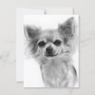 Chihuahua Hand Painted Dog Artwork Postcard