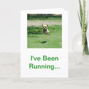 Chihuahua Happy Birthday Card