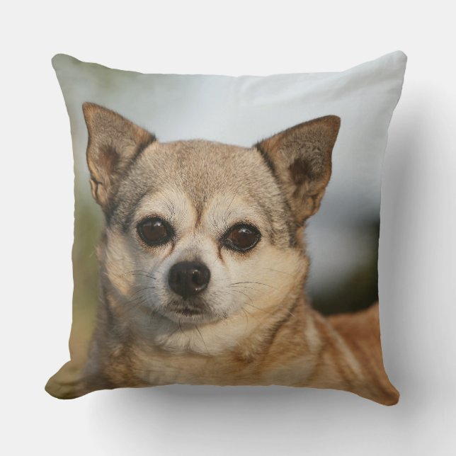 Chihuahua Headshot Cushion (Front)