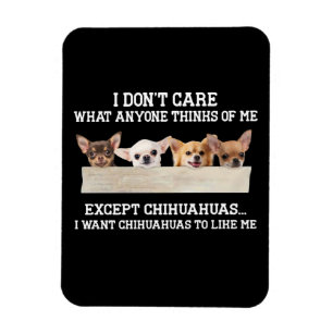 Chihuahua I Don't Care What Anyone Thinks Of Me Magnet