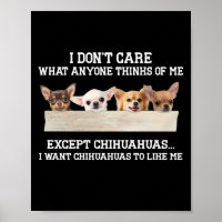 Chihuahua I Don't Care What Anyone Thinks Of Me