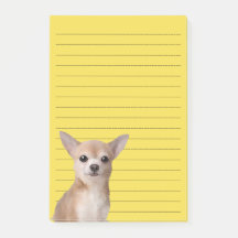 Chihuahua Illustrated Notes