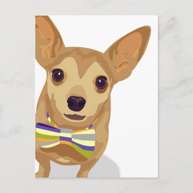 Chihuahua in a bowtie on white background postcard (Front)