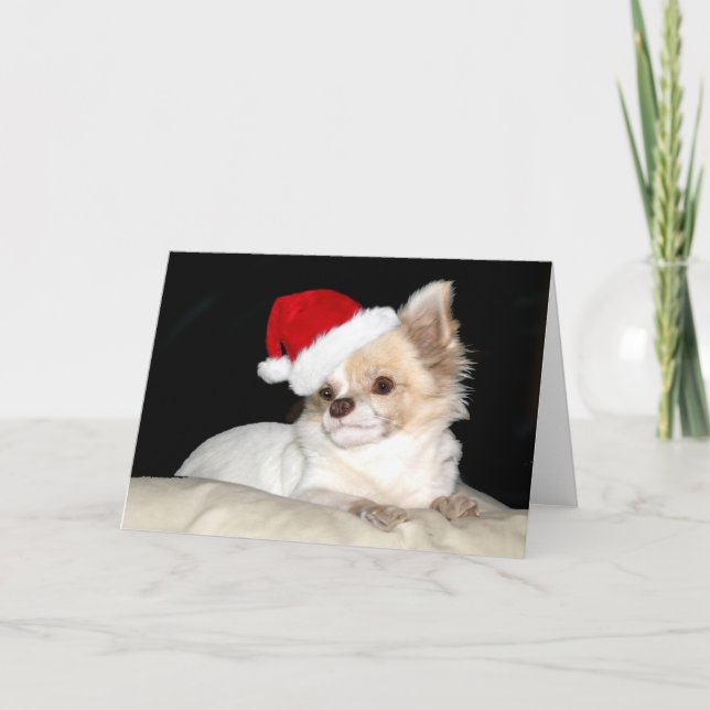 Chihuahua in a Santa Hat Holiday Card (Front)