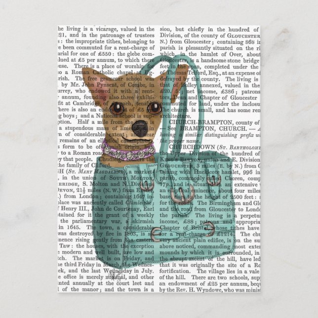 Chihuahua In Bag Postcard (Front)