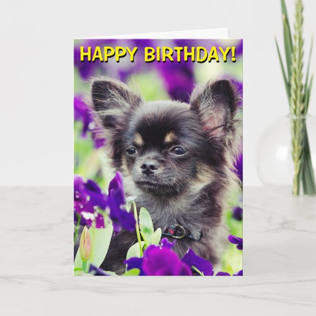 Chihuahua in flowers birthday card (Front)