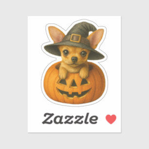 Chihuahua in Pumpkin