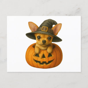 Chihuahua in Pumpkin Holiday Postcard