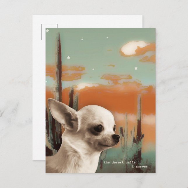 Chihuahua in the Desert Postcard (Front/Back)