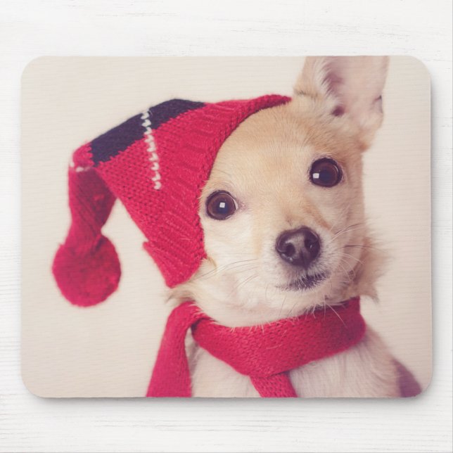 Chihuahua In Winter Cap Mouse Pad (Front)