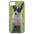 chihuahua iphone case